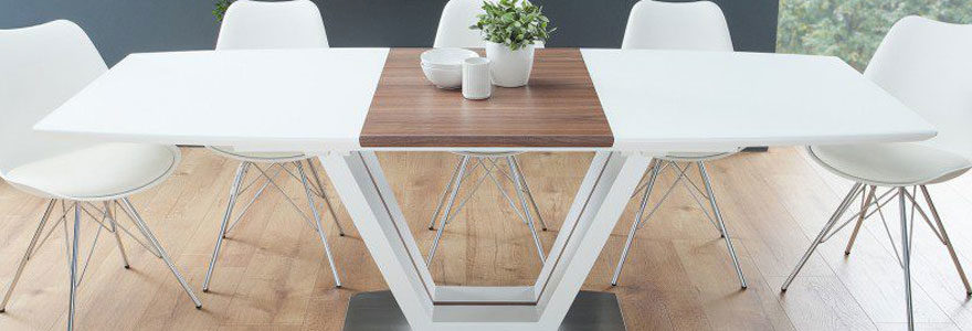 Tables extensibles